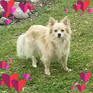 Meet your Posher, Elaine